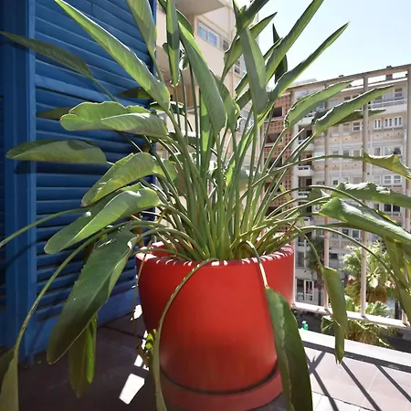 Le Gambetta By Interhome * Toulon