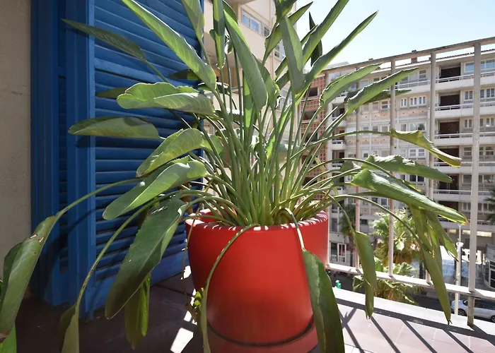 Le Gambetta By Interhome * Toulon